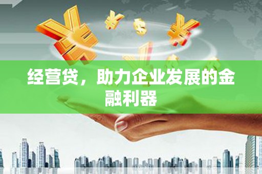 沙坡头经营贷，助力企业发展的金融利器