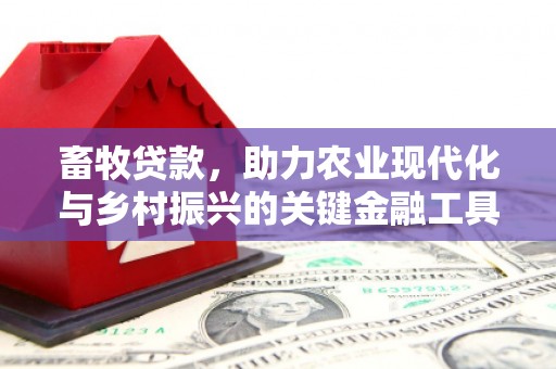 沙坡头畜牧贷款，助力农业现代化与乡村振兴的关键金融工具