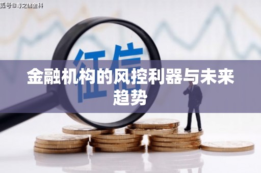沙坡头金融机构的风控利器与未来趋势