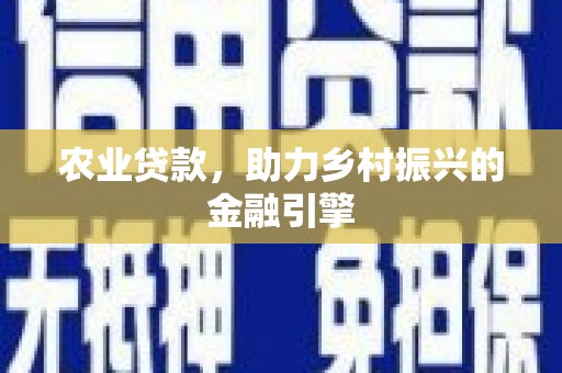 沙坡头农业贷款，助力乡村振兴的金融引擎