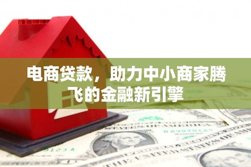 沙坡头电商贷款，助力中小商家腾飞的金融新引擎