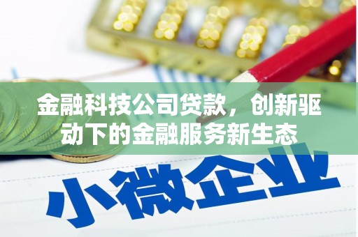 沙坡头金融科技公司贷款，创新驱动下的金融服务新生态