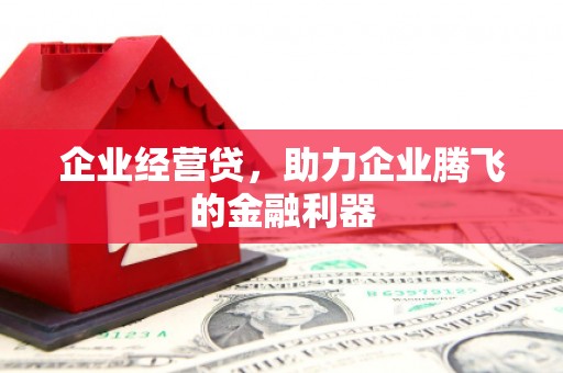 沙坡头企业经营贷，助力企业腾飞的金融利器