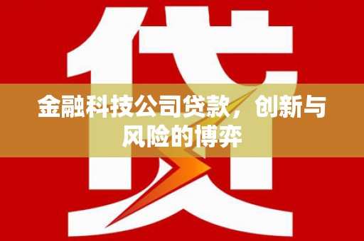 沙坡头金融科技公司贷款，创新与风险的博弈