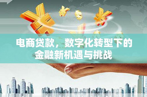沙坡头电商贷款，数字化转型下的金融新机遇与挑战