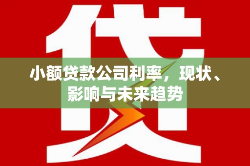 沙坡头小额贷款公司利率，现状、影响与未来趋势
