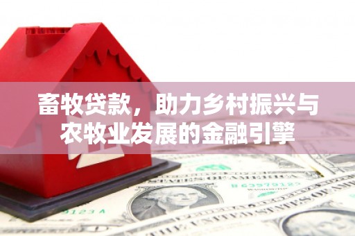 沙坡头畜牧贷款，助力乡村振兴与农牧业发展的金融引擎