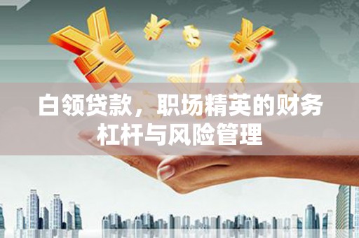 沙坡头白领贷款，职场精英的财务杠杆与风险管理