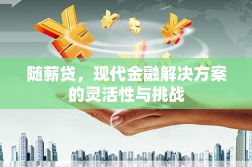 沙坡头随薪贷，现代金融解决方案的灵活性与挑战