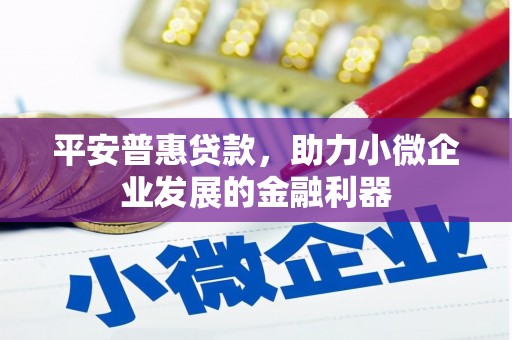 沙坡头平安普惠贷款，助力小微企业发展的金融利器