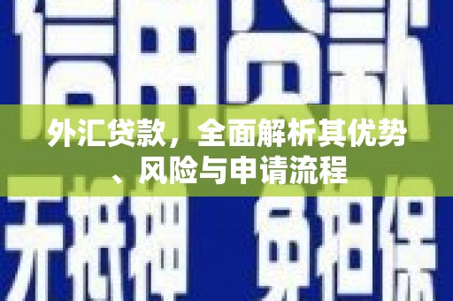 沙坡头外汇贷款，全面解析其优势、风险与申请流程
