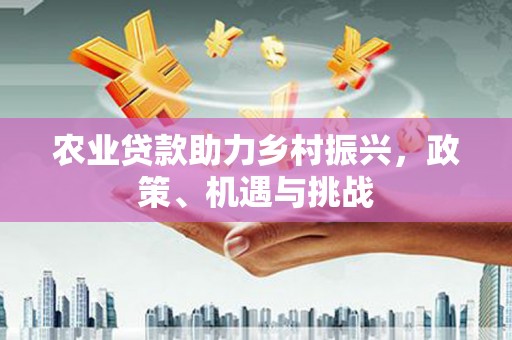 沙坡头农业贷款助力乡村振兴，政策、机遇与挑战