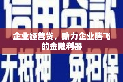 沙坡头企业经营贷，助力企业腾飞的金融利器