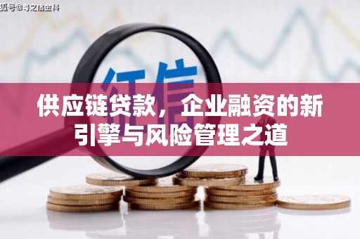 沙坡头供应链贷款，企业融资的新引擎与风险管理之道