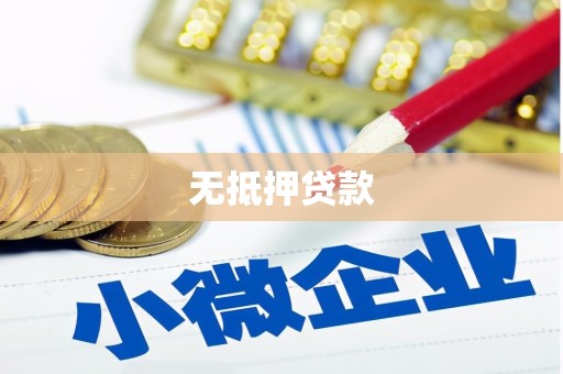 沙坡头无抵押贷款