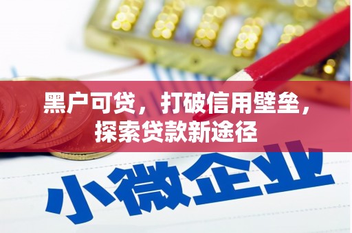 沙坡头黑户可贷，打破信用壁垒，探索贷款新途径