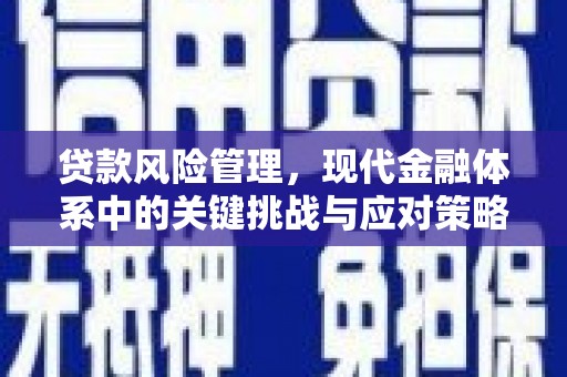 沙坡头贷款风险管理，现代金融体系中的关键挑战与应对策略