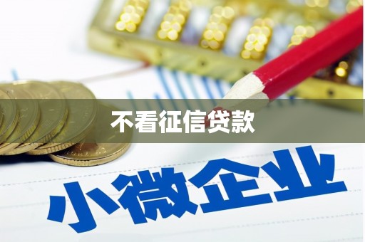 沙坡头不看征信贷款