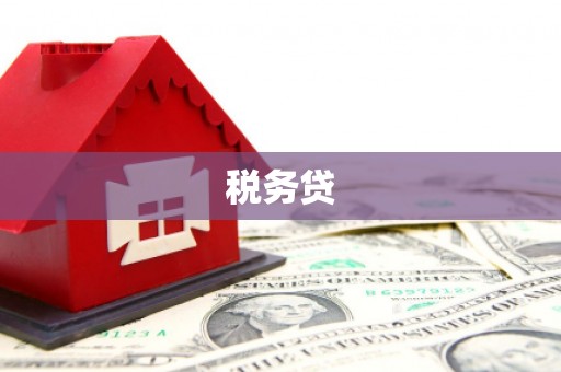 沙坡头税务贷