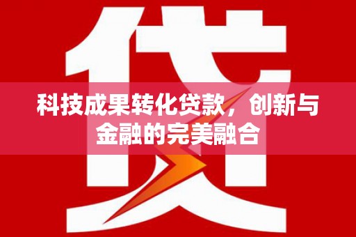沙坡头科技成果转化贷款，创新与金融的完美融合