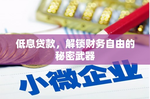 沙坡头低息贷款，解锁财务自由的秘密武器