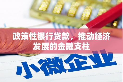 沙坡头政策性银行贷款，推动经济发展的金融支柱