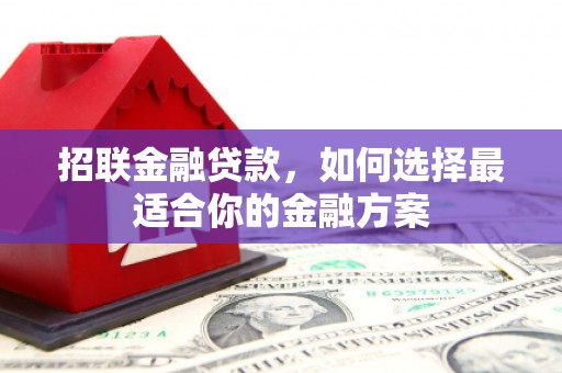 沙坡头招联金融贷款，如何选择最适合你的金融方案