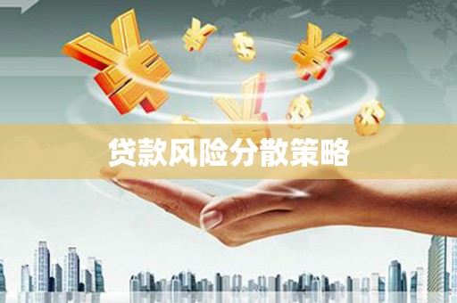 沙坡头贷款风险分散策略