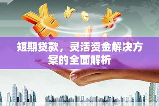 沙坡头短期贷款，灵活资金解决方案的全面解析