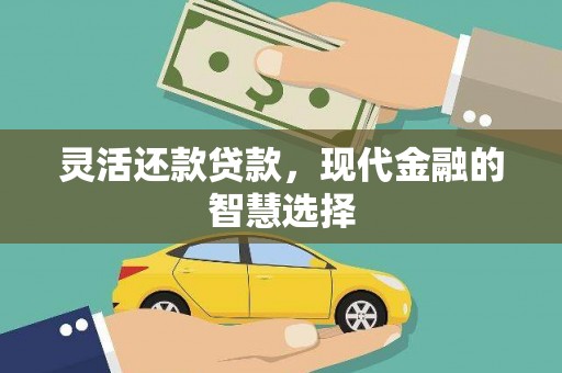 沙坡头灵活还款贷款，现代金融的智慧选择