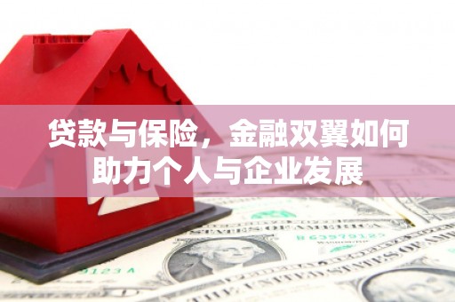沙坡头贷款与保险，金融双翼如何助力个人与企业发展