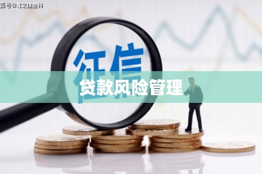 沙坡头贷款风险管理