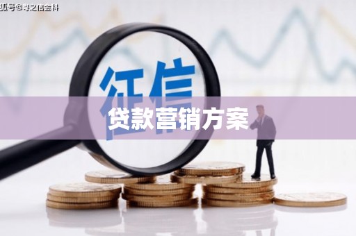 沙坡头贷款营销方案
