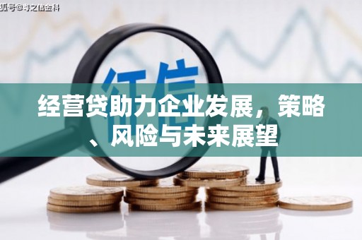 沙坡头经营贷助力企业发展，策略、风险与未来展望