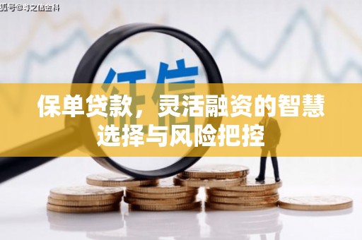 沙坡头保单贷款，灵活融资的智慧选择与风险把控
