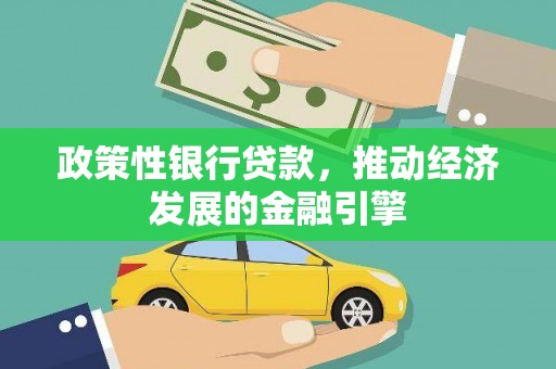 沙坡头政策性银行贷款，推动经济发展的金融引擎