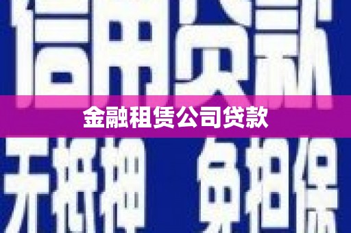 沙坡头金融租赁公司贷款