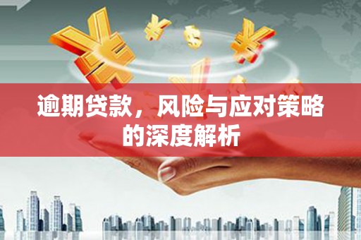 沙坡头逾期贷款，风险与应对策略的深度解析