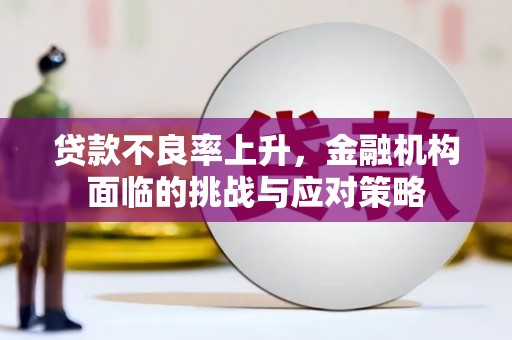 沙坡头贷款不良率上升，金融机构面临的挑战与应对策略
