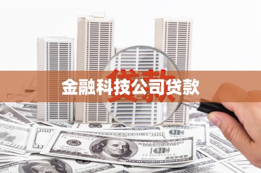 沙坡头金融科技公司贷款