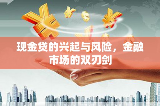 沙坡头现金贷的兴起与风险，金融市场的双刃剑