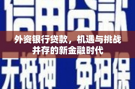 沙坡头外资银行贷款，机遇与挑战并存的新金融时代