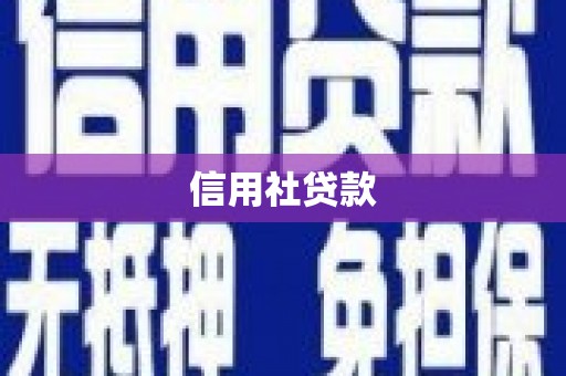 沙坡头信用社贷款
