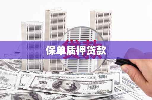 沙坡头保单质押贷款