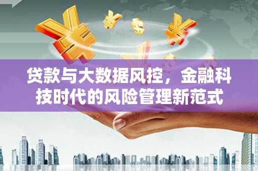 沙坡头贷款与大数据风控，金融科技时代的风险管理新范式