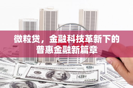 沙坡头微粒贷，金融科技革新下的普惠金融新篇章