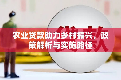 沙坡头农业贷款助力乡村振兴，政策解析与实施路径