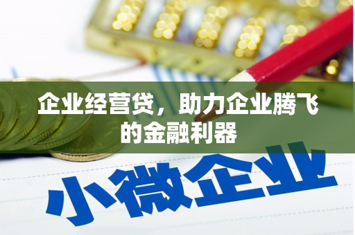 沙坡头企业经营贷，助力企业腾飞的金融利器
