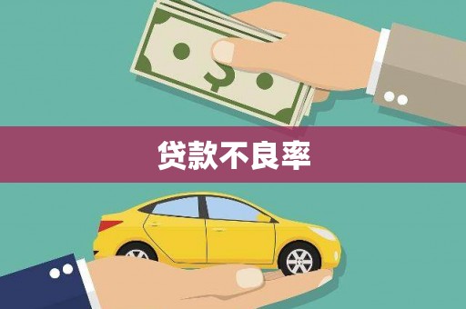 沙坡头贷款不良率
