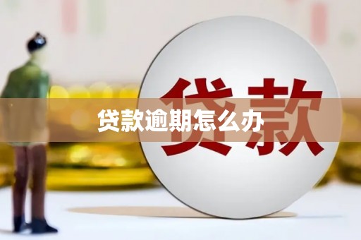 沙坡头贷款逾期怎么办